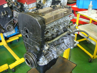 P1430544.JPG